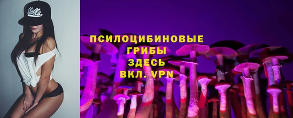 МДПВ Приозерск