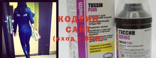 дживик Абаза
