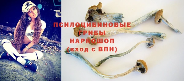 дживик Абаза