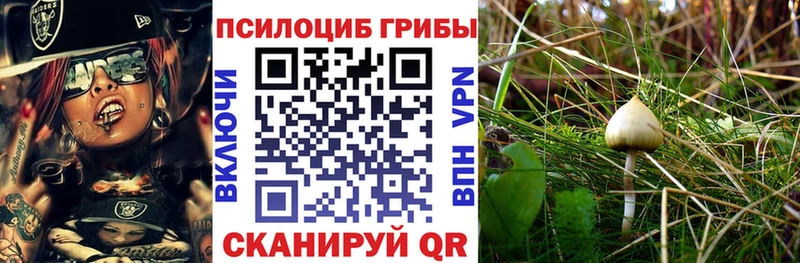 Галлюциногенные грибы прущие грибы  Балахна 